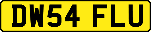 DW54FLU