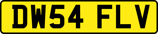 DW54FLV
