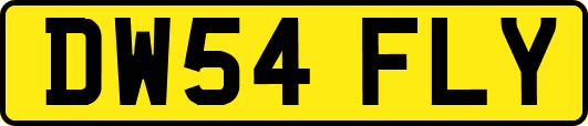 DW54FLY