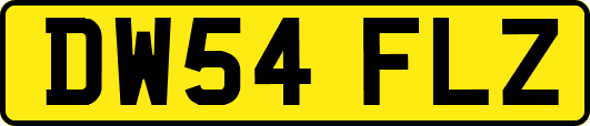 DW54FLZ