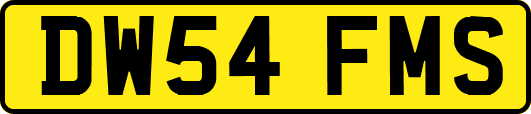 DW54FMS