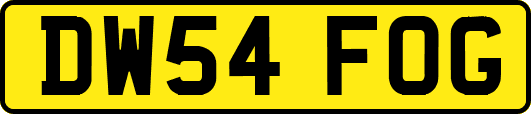 DW54FOG