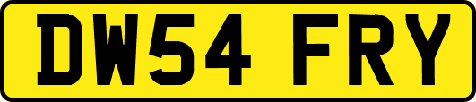 DW54FRY