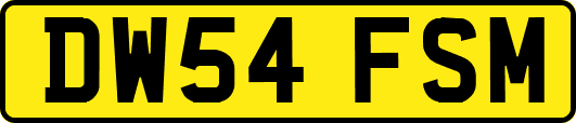 DW54FSM