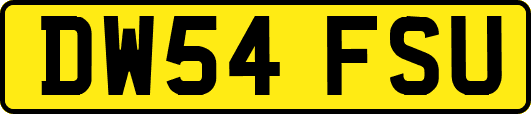 DW54FSU