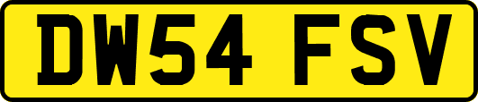 DW54FSV