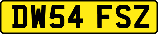 DW54FSZ