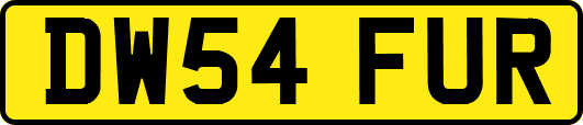 DW54FUR