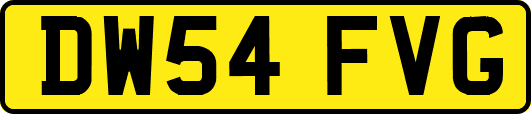 DW54FVG