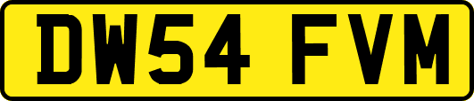 DW54FVM