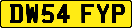 DW54FYP