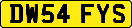 DW54FYS