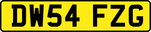 DW54FZG