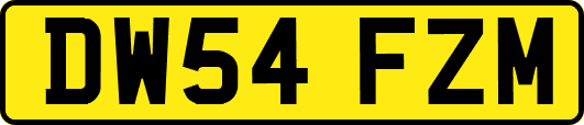 DW54FZM