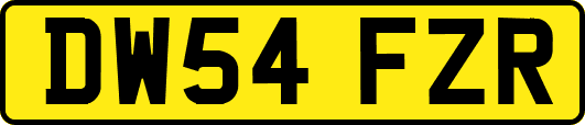 DW54FZR