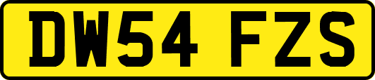 DW54FZS