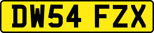 DW54FZX