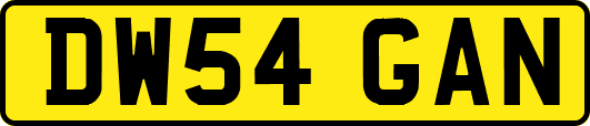 DW54GAN