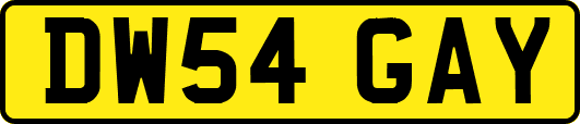 DW54GAY