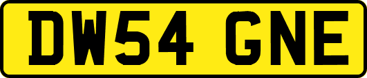 DW54GNE