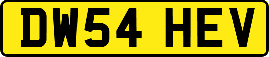 DW54HEV