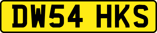 DW54HKS