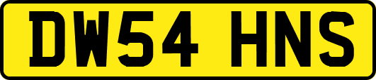 DW54HNS