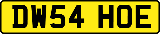 DW54HOE