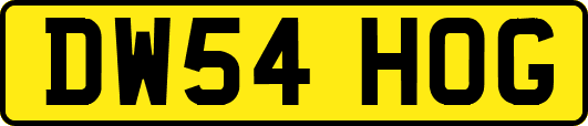 DW54HOG