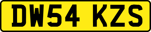 DW54KZS