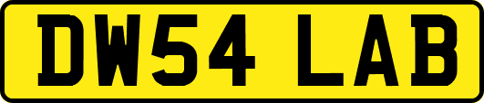 DW54LAB