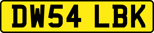 DW54LBK