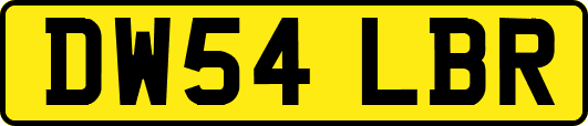 DW54LBR