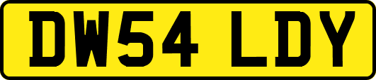 DW54LDY