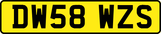 DW58WZS