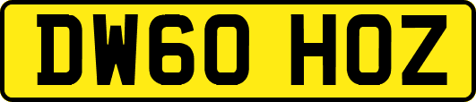 DW60HOZ