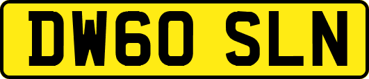 DW60SLN