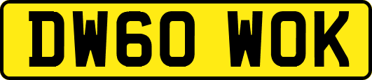 DW60WOK