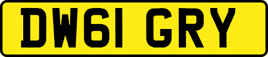 DW61GRY