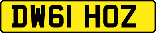 DW61HOZ