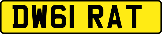 DW61RAT