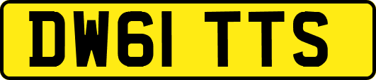 DW61TTS