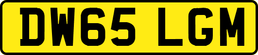 DW65LGM