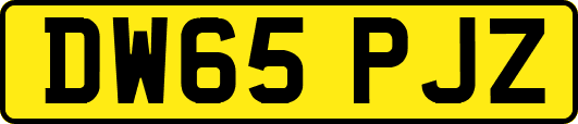 DW65PJZ