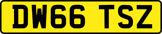 DW66TSZ