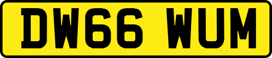 DW66WUM