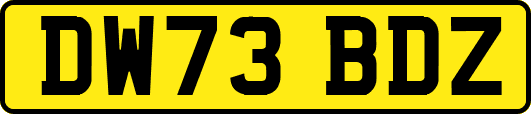 DW73BDZ