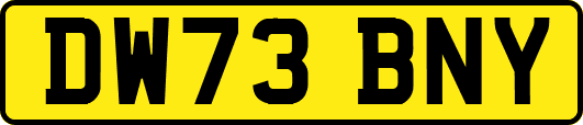 DW73BNY