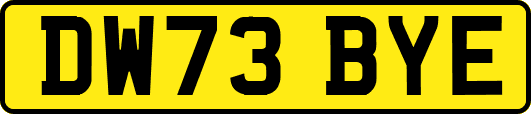 DW73BYE