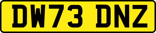 DW73DNZ